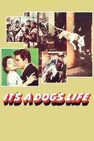 Poster of It's a Dog's Life