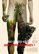 Poster of Where Do You Stand Now, João Pedro Rodrigues?