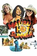 Poster of Malibu Hot Summer