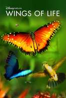Poster of Wings of Life