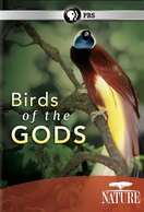 Poster of Birds of the Gods