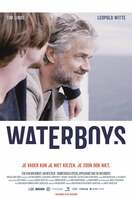 Poster of Waterboys