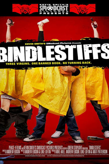 Poster of Bindlestiffs