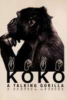 Poster of Koko: A Talking Gorilla