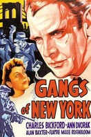 Poster of Gangs of New York