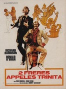 Poster of Two Brothers in Trinity