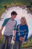 Poster of The Map of Tiny Perfect Things