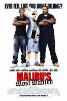 Poster of Malibu's Most Wanted