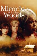 Poster of Miracle in the Woods