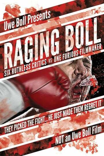 Poster of Raging Boll