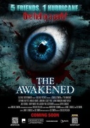 Poster of The Awakened