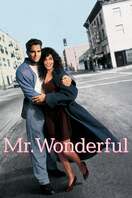 Poster of Mr. Wonderful
