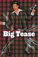 Poster of The Big Tease