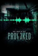 Poster of Provoked