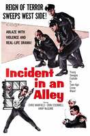 Poster of Incident in an Alley