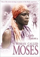 Poster of A Woman Called Moses