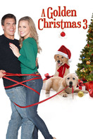 Poster of A Golden Christmas 3