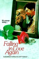 Poster of Falling in Love Again