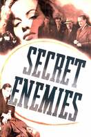 Poster of Secret Enemies