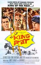 Poster of King Rat