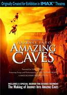 Poster of Journey into Amazing Caves
