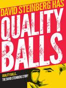 Poster of Quality Balls: The David Steinberg Story