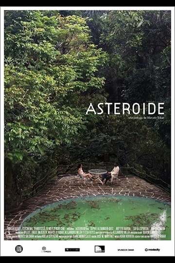 Poster of Asteroid