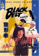 Poster of The Shaolin Chief Cook