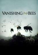 Poster of Vanishing of the Bees