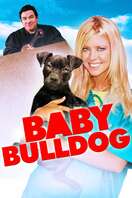 Poster of Baby Bulldog