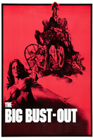 Poster of The Big Bust Out