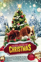 Poster of Project: Puppies for Christmas