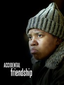Poster of Accidental Friendship