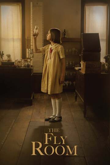 Poster of The Fly Room