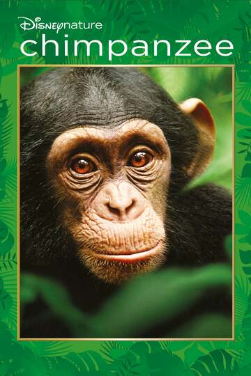 Poster of Chimpanzee