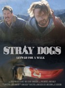Poster of Stray Dogs