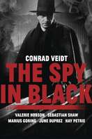 Poster of The Spy in Black