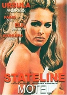Poster of Stateline Motel