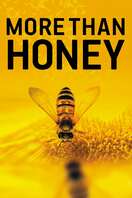 Poster of More Than Honey
