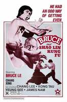 Poster of Bruce and Shaolin Kung Fu