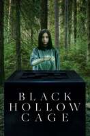 Poster of Black Hollow Cage