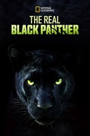Poster of The Real Black Panther