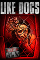 Poster of Like Dogs