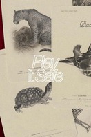Poster of Play It Safe