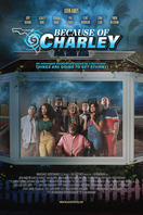 Poster of Because of Charley