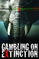 Poster of Gambling on Extinction