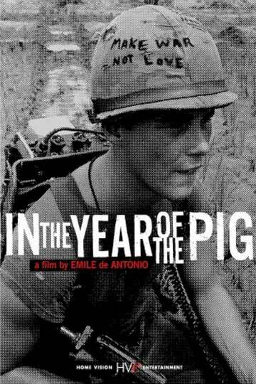 Poster of In the Year of the Pig