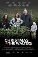 Poster of Christmas vs. The Walters