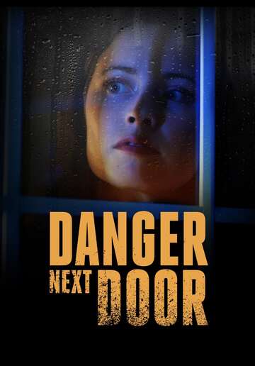 Poster of The Danger Next Door