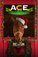 Poster of Ace & the Christmas Miracle
